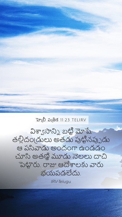 హెబ్రీ పత్రిక 11:23 TELIRV Bible Verse Image