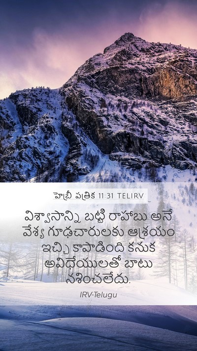 హెబ్రీ పత్రిక 11:31 TELIRV Bible Verse Image