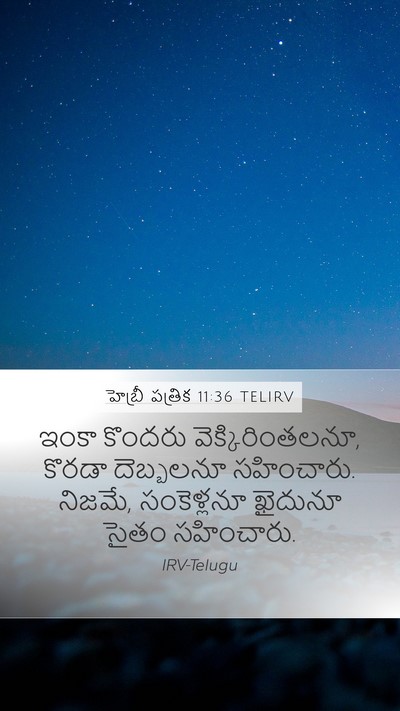 హెబ్రీ పత్రిక 11:36 TELIRV Bible Verse Image