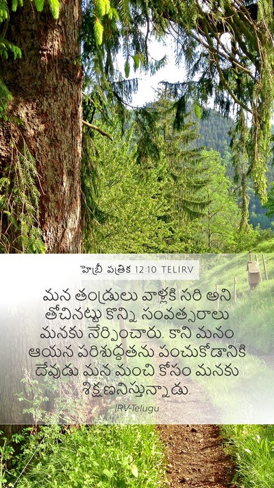 హెబ్రీ పత్రిక 12:10 TELIRV Bible Verse Image
