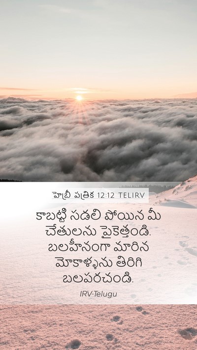 హెబ్రీ పత్రిక 12:12 TELIRV Bible Verse Image