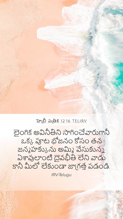 హెబ్రీ పత్రిక 12:16 TELIRV Bible Verse Image