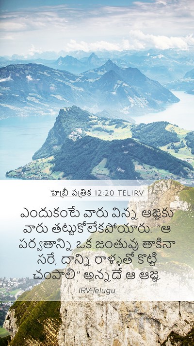 హెబ్రీ పత్రిక 12:20 TELIRV Bible Verse Image