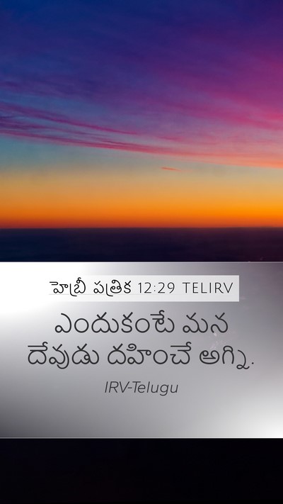 హెబ్రీ పత్రిక 12:29 TELIRV Mobile Phone Wallpaper - ఎందుకంటే మన - Mobile Bible Verse Wallpaper