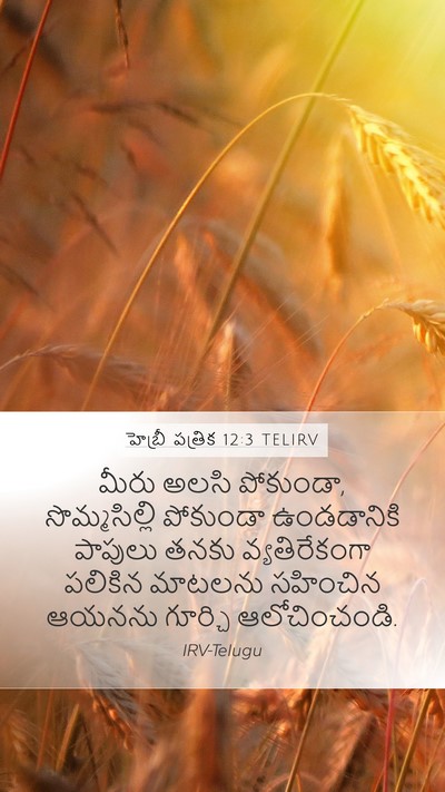 హెబ్రీ పత్రిక 12:3 TELIRV Bible Verse Image