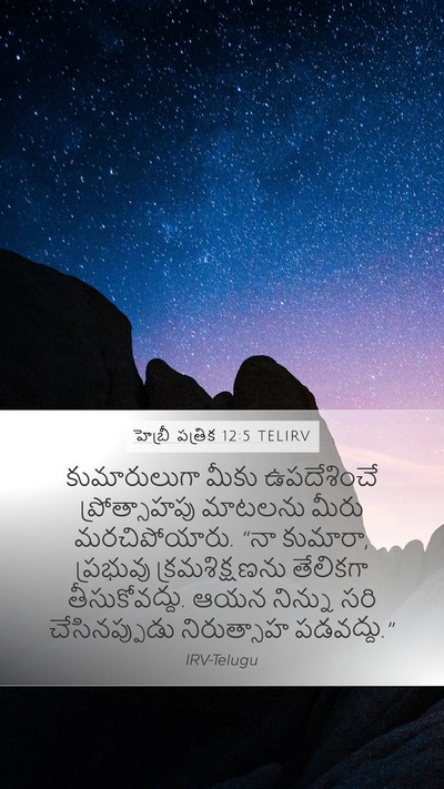 హెబ్రీ పత్రిక 12:5 TELIRV Bible Verse Image