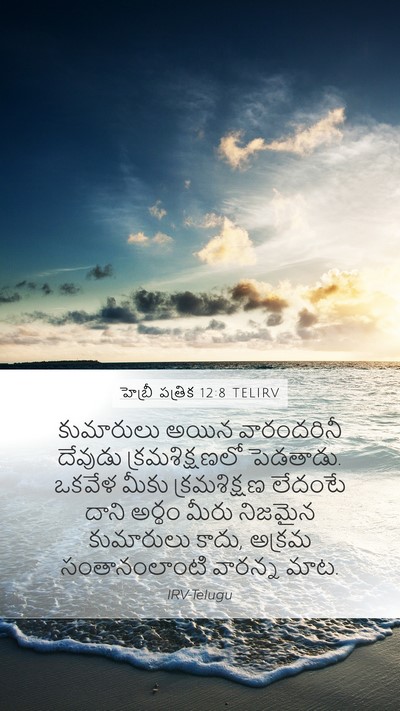 హెబ్రీ పత్రిక 12:8 TELIRV Bible Verse Image