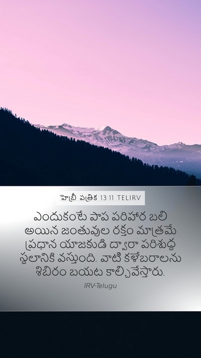 హెబ్రీ పత్రిక 13:11 TELIRV Bible Verse Image