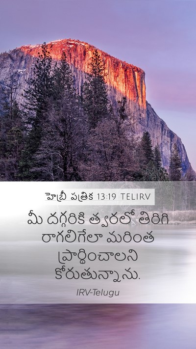 హెబ్రీ పత్రిక 13:19 TELIRV Bible Verse Image