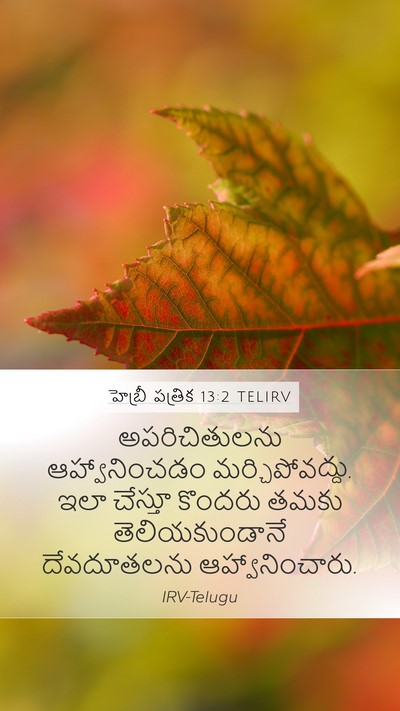 హెబ్రీ పత్రిక 13:2 TELIRV Bible Verse Image