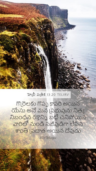 హెబ్రీ పత్రిక 13:20 TELIRV Bible Verse Image