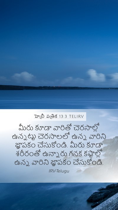 హెబ్రీ పత్రిక 13:3 TELIRV Bible Verse Image