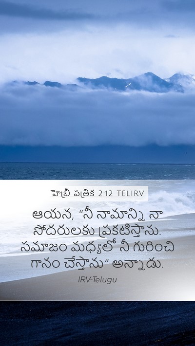 హెబ్రీ పత్రిక 2:12 TELIRV Bible Verse Image