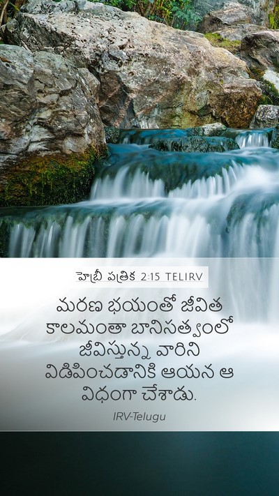 హెబ్రీ పత్రిక 2:15 TELIRV Bible Verse Image