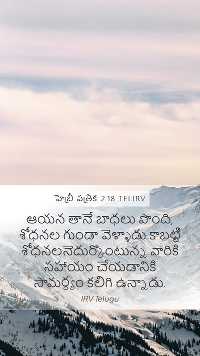 హెబ్రీ పత్రిక 2:18 TELIRV Bible Verse Image