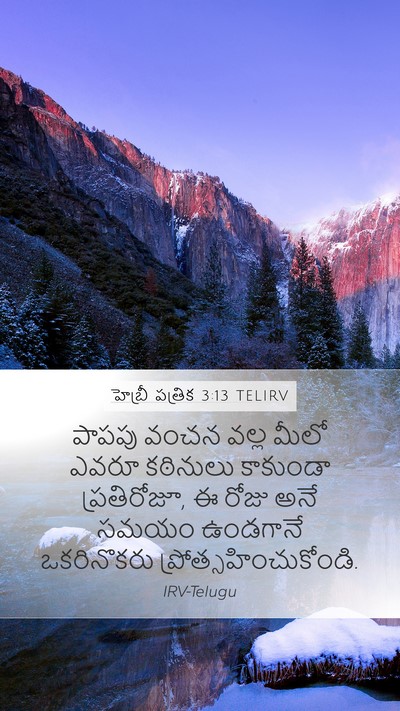 హెబ్రీ పత్రిక 3:13 TELIRV Bible Verse Image