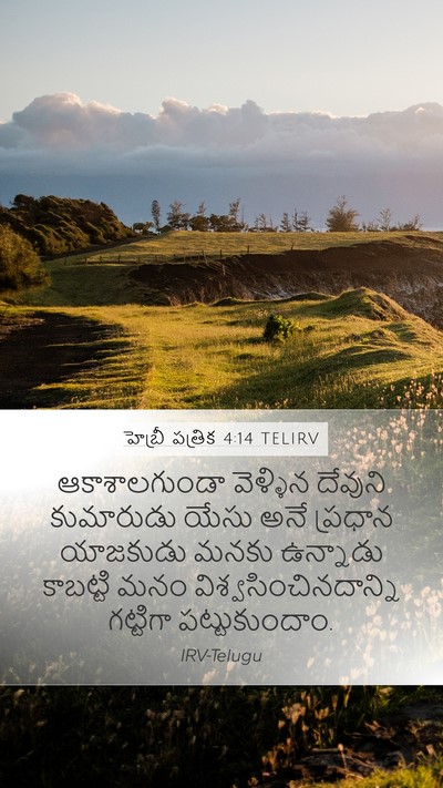 హెబ్రీ పత్రిక 4:14 TELIRV Bible Verse Image