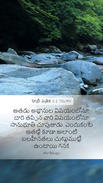 హెబ్రీ పత్రిక 5:2 TELIRV Bible Verse Image