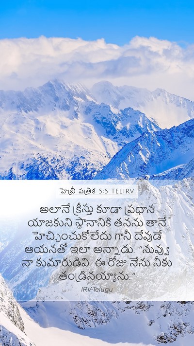 హెబ్రీ పత్రిక 5:5 TELIRV Bible Verse Image