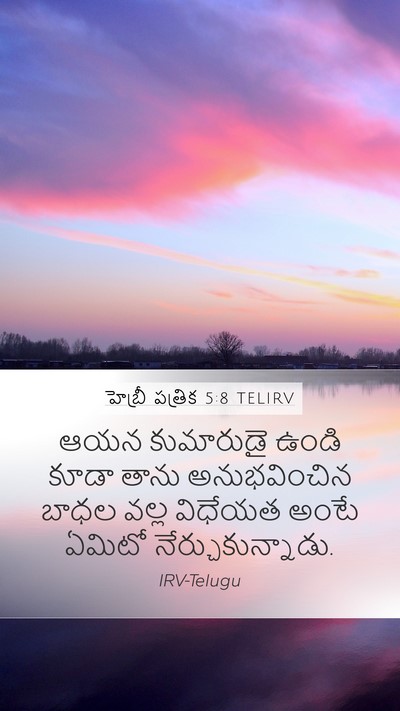 హెబ్రీ పత్రిక 5:8 TELIRV Bible Verse Image