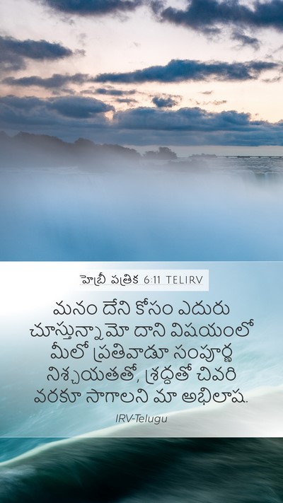 హెబ్రీ పత్రిక 6:11 TELIRV Bible Verse Image