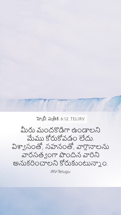 హెబ్రీ పత్రిక 6:12 TELIRV Bible Verse Image