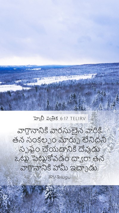 హెబ్రీ పత్రిక 6:17 TELIRV Bible Verse Image