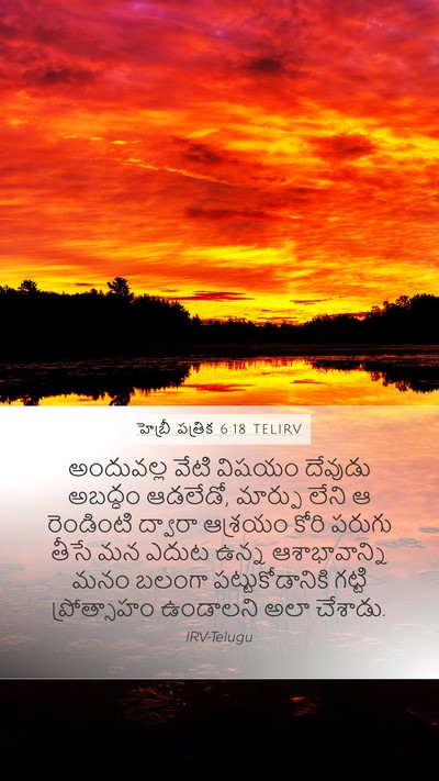 హెబ్రీ పత్రిక 6:18 TELIRV Bible Verse Image
