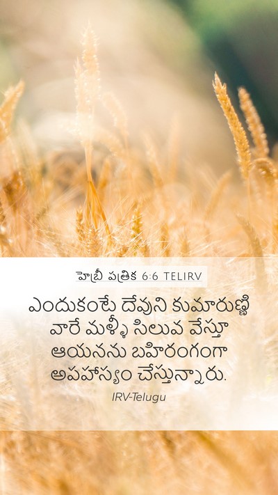 హెబ్రీ పత్రిక 6:6 TELIRV Bible Verse Image