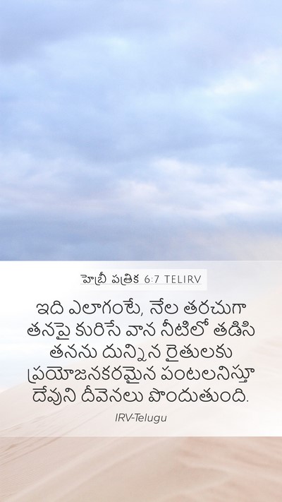 హెబ్రీ పత్రిక 6:7 TELIRV Bible Verse Image