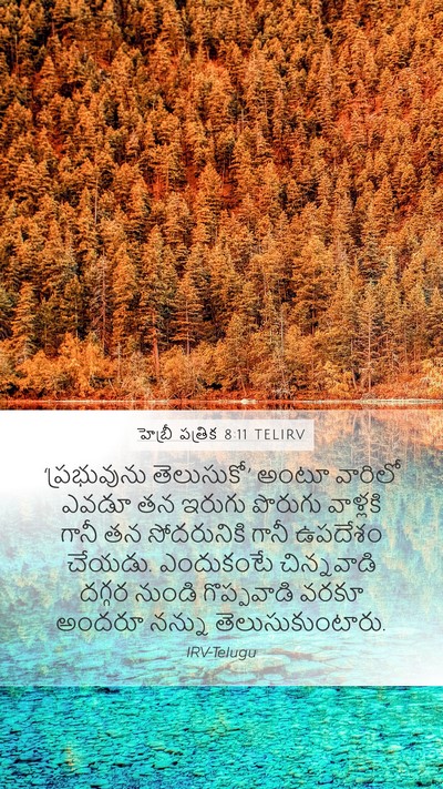 హెబ్రీ పత్రిక 8:11 TELIRV Bible Verse Image