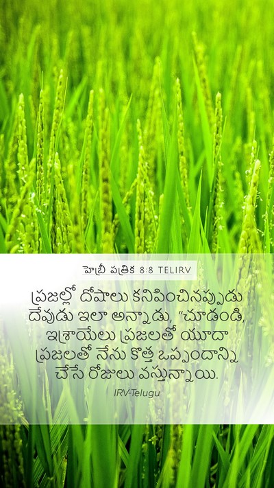హెబ్రీ పత్రిక 8:8 TELIRV Bible Verse Image