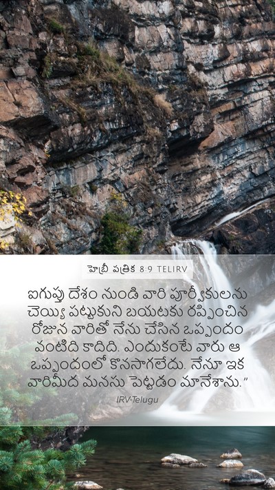 హెబ్రీ పత్రిక 8:9 TELIRV Bible Verse Image