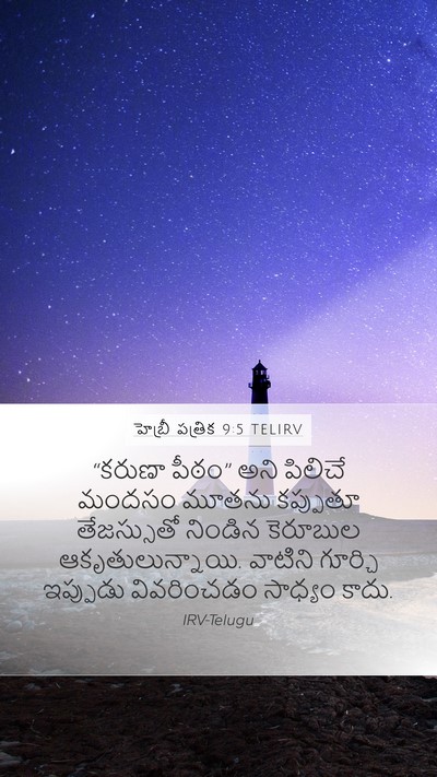 హెబ్రీ పత్రిక 9:5 TELIRV Bible Verse Image