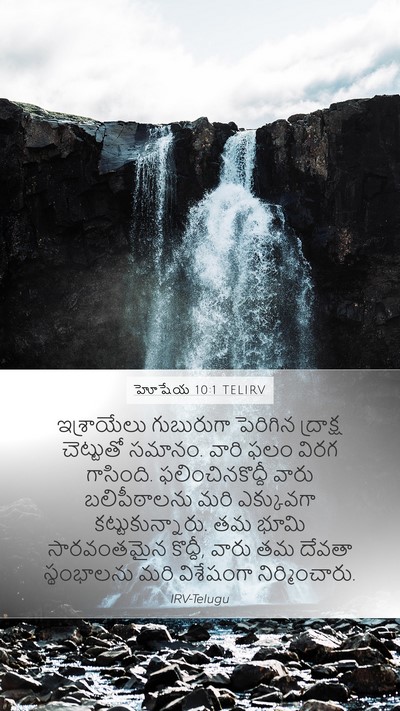 హోషేయ 10:1 TELIRV Bible Verse Image