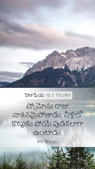 హోషేయ 10:7 TELIRV Mobile Phone Wallpaper - షోమ్రోను రాజు - Mobile Bible Verse Wallpaper