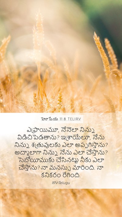 హోషేయ 11:8 TELIRV Bible Verse Image