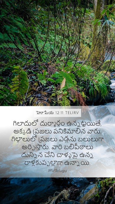 హోషేయ 12:11 TELIRV Mobile Phone Wallpaper - గిలాదులో - Mobile Bible Verse Wallpaper