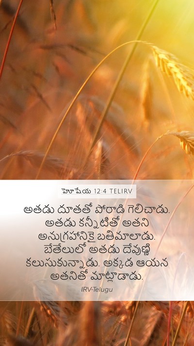 హోషేయ 12:4 TELIRV Bible Verse Image