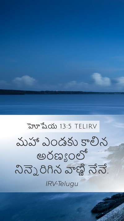 హోషేయ 13:5 TELIRV Bible Verse Image