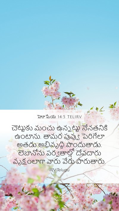 హోషేయ 14:5 TELIRV Bible Verse Image