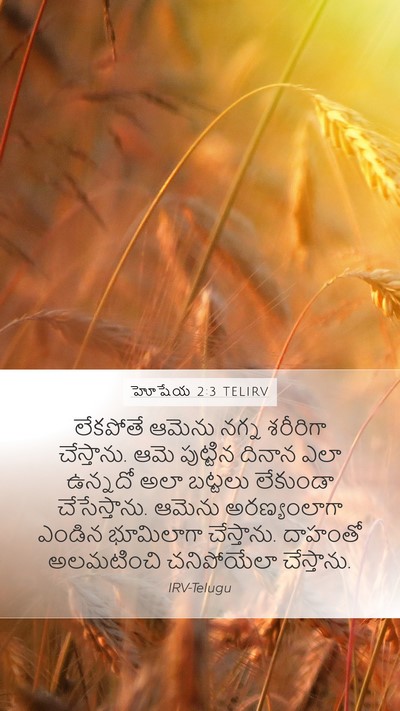 హోషేయ 2:3 TELIRV Bible Verse Image