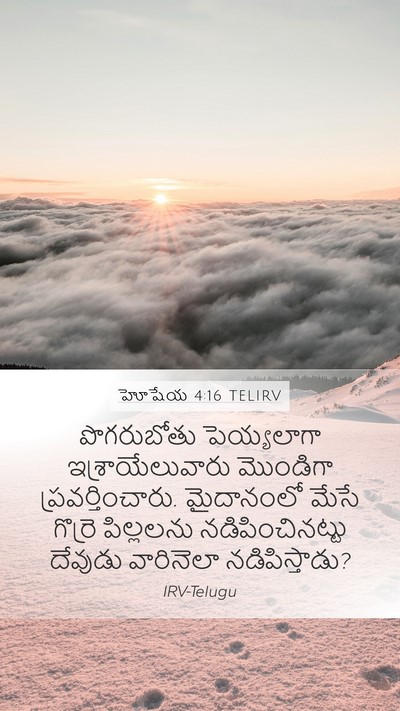 హోషేయ 4:16 TELIRV Bible Verse Image