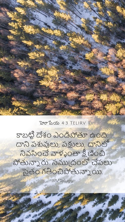 హోషేయ 4:3 TELIRV Bible Verse Image