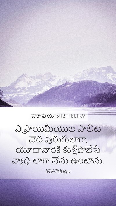 హోషేయ 5:12 TELIRV Mobile Phone Wallpaper - ఎఫ్రాయిమీయుల - Mobile Bible Verse Wallpaper