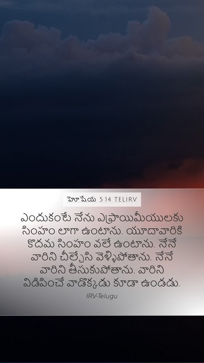 హోషేయ 5:14 TELIRV Bible Verse Image