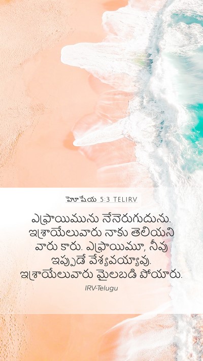 హోషేయ 5:3 TELIRV Bible Verse Image