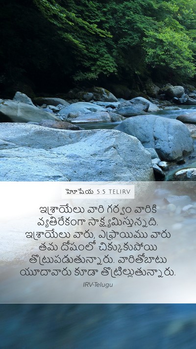 హోషేయ 5:5 TELIRV Bible Verse Image