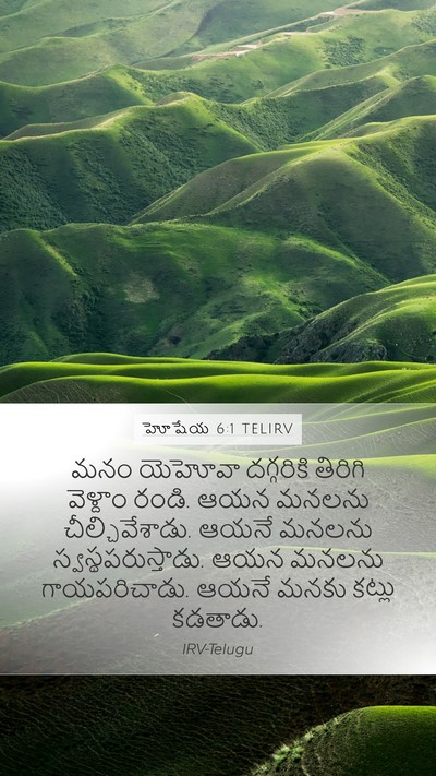 హోషేయ 6:1 TELIRV Bible Verse Image