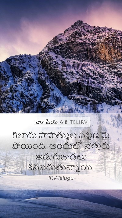 హోషేయ 6:8 TELIRV Bible Verse Image